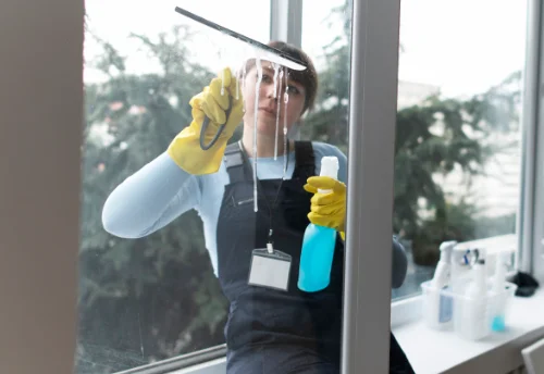 Nettoyage de vitres intérieures et extérieures à Lazenay
